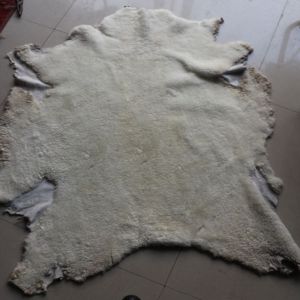 Sheep Raw Skin Leather